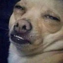 dog emote