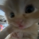 neko_shah emote