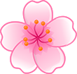 pink_cherry_flower Emote