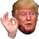Ok_Trump emote