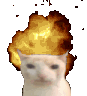 boomcat emote