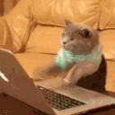 c3 Emote