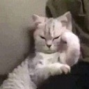 z_asabi Emote