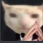 Screenshot20260413210323 emote