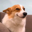 sus_veryverysus Emote