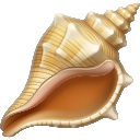 grinderconchshell Emote
