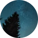 server_1481218324393361461 Emote