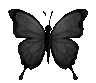 butterfly emote