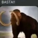 Basta emote