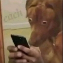 hoo_lee Emote