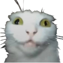 heh Emote