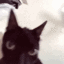 CatShake Emote