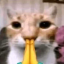 namaste emote