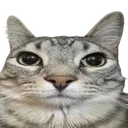 seriously emote