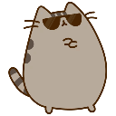 9928_cool_pusheen Emote
