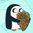 penguinbud emote
