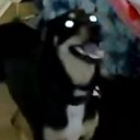 scarymina emote