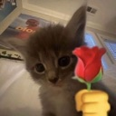 luvu emote