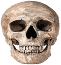 skullxd Emote