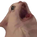 agony emote