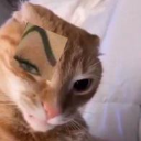 CatoSideEye Emote