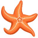 grinderstarfish Emote