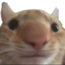 SwagSweg emote