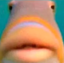 khe Emote