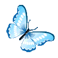 2000bluebutterfly Emote