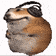 crackrat Emote