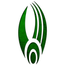Borg_Insignia_Green Emote