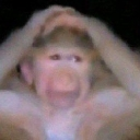 monke emote