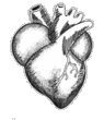 0_heart Emote
