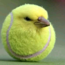 Pollito_Tenis Emote