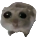 Hamster_sad Emote