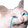 9152whyucrying emote