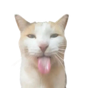bleh emote