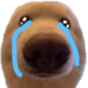 dawgcry Emote