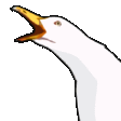 c_goosescream emote