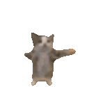 kittyjump Emote