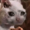 money emote