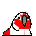 canadaParrot emote
