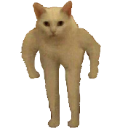 CatStand emote