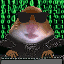s_hacker emote