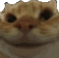 catyes emote