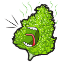loudbud Emote