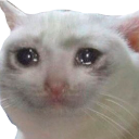 sadcat Emote