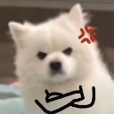 AggrievedDog emote