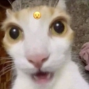 emoji_11 Emote