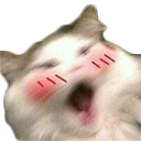 blush emote